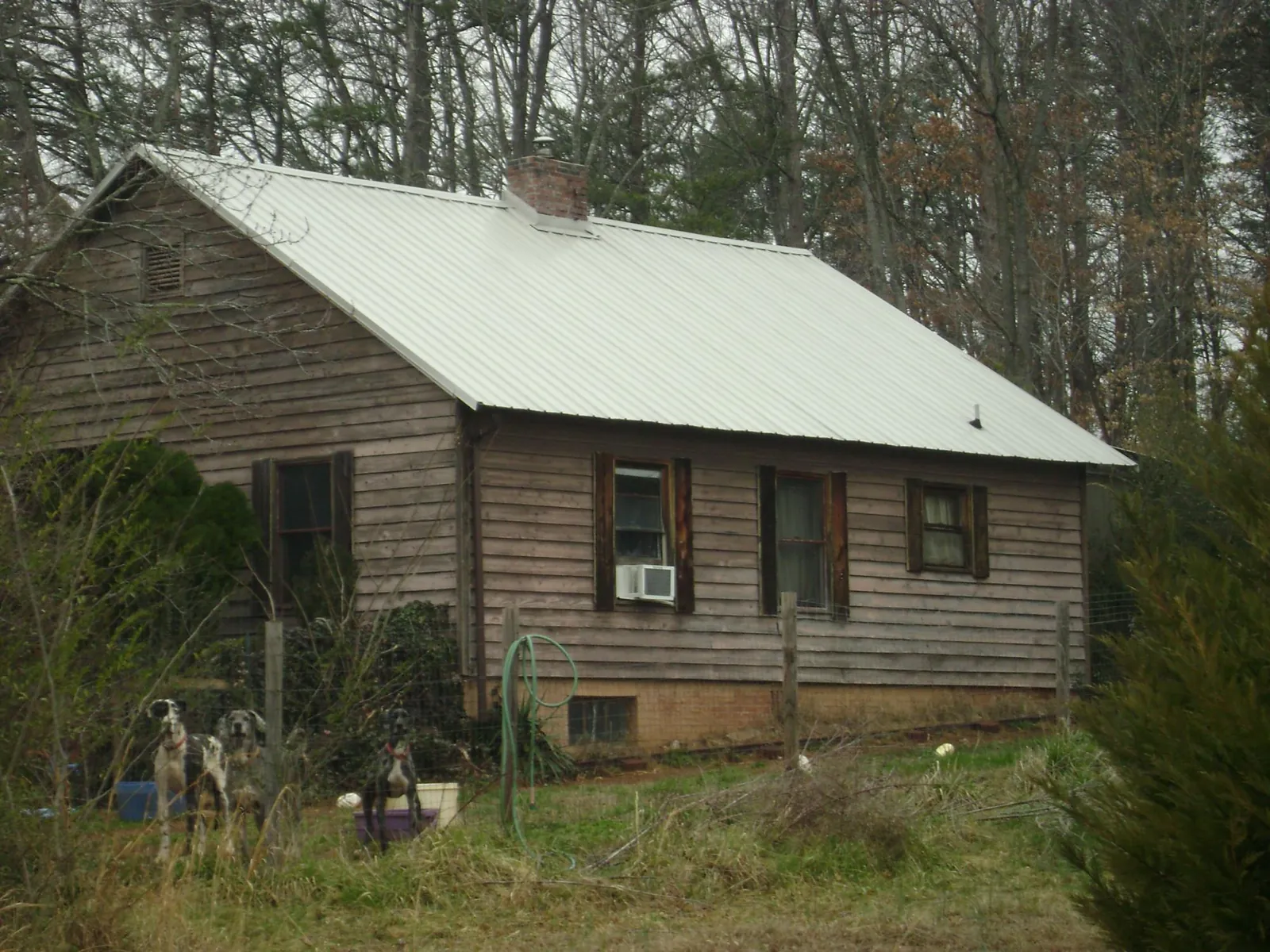 White metal roof on an old wood sided farmhouse, from a Asphalt Shingle Roof Repair job in Eastsound